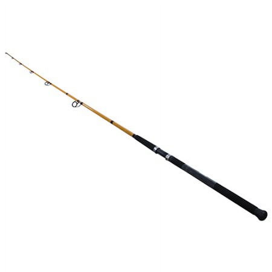 FT Series Fiberglass Surf Spin - Fishing Rod Spinning avaliação e preço